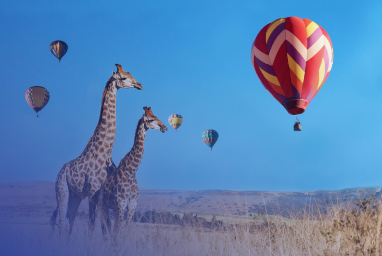 Two,Giraffes,In,African,Savanna,With,Colorful,Hot,Air,Balloons